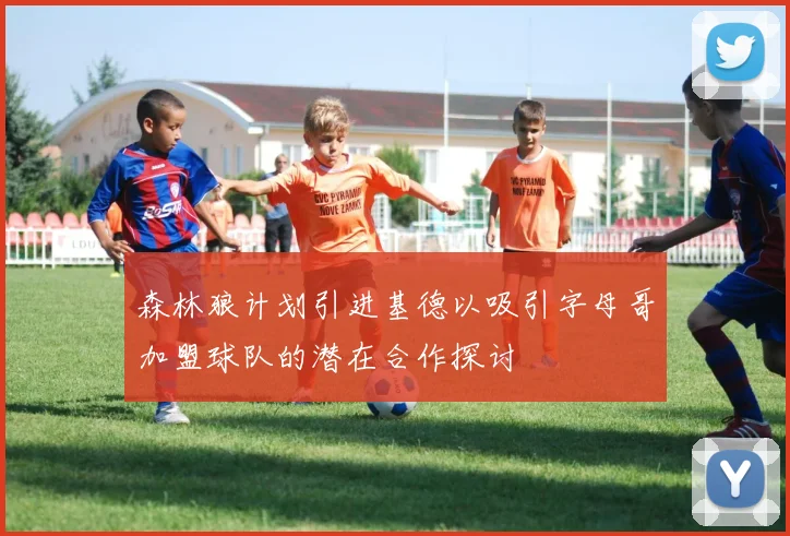 森林狼计划引进基德以吸引字母哥加盟球队的潜在合作探讨